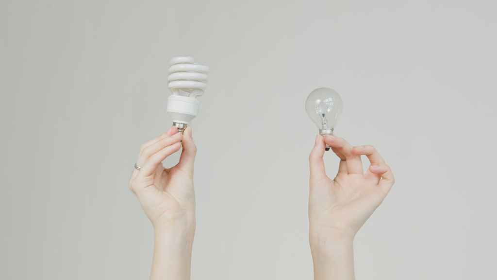 person holding white light bulb