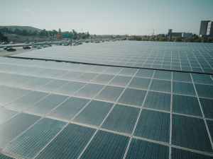photo of solar panel array