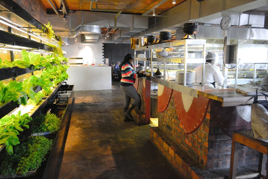 Vertical Farming and the Future of Sustainable Restaurants