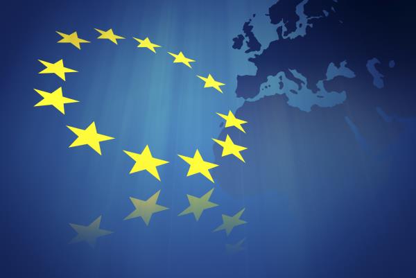 Navigating the Complexities of Biofuel Policies