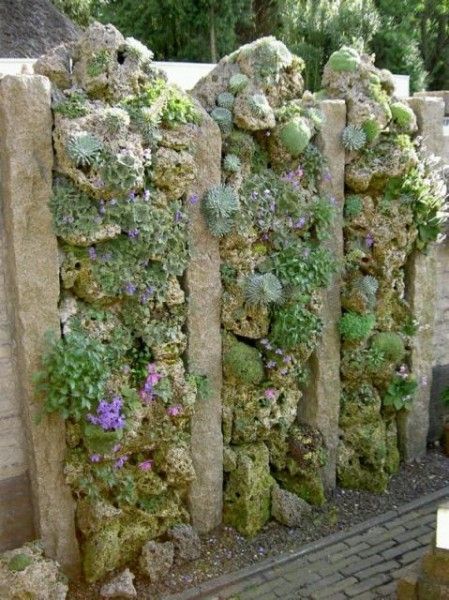 Vertical Gardens: From Niche Trend to Mainstream Phenomenon