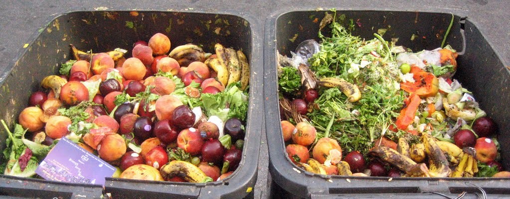 Converting Food Waste to Energy: The South Korea Model