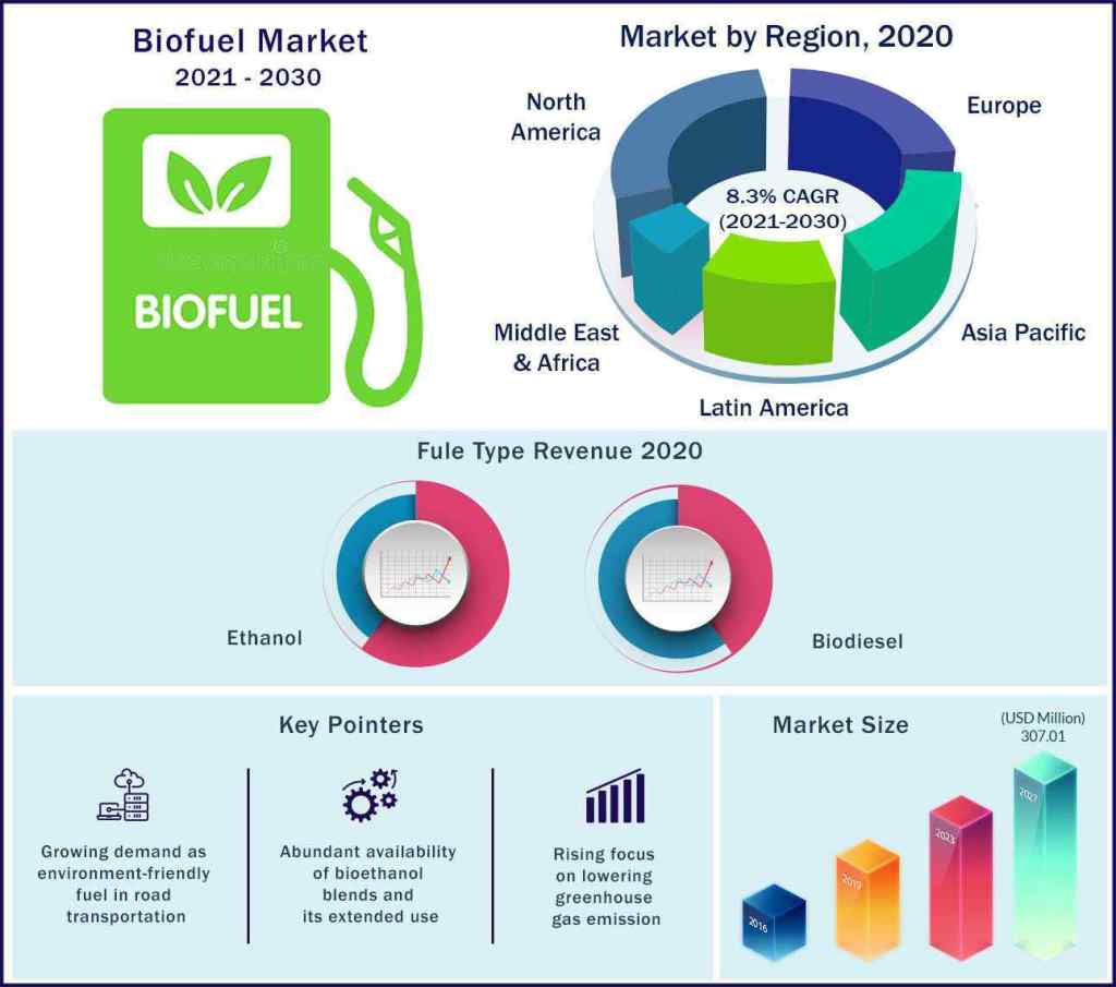 Technological Advances in Biofuel Processing