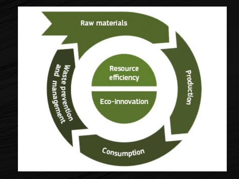The circular economy and job creation in the green sector