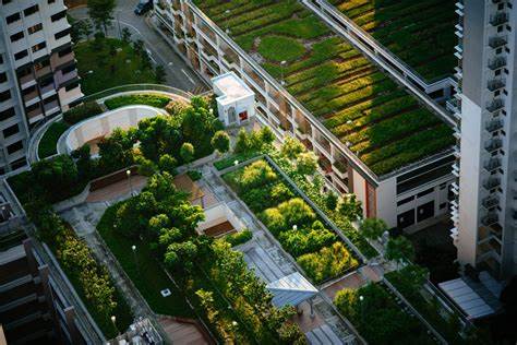 Vertical Gardens and Community Engagement: Building Green Neighborhoods