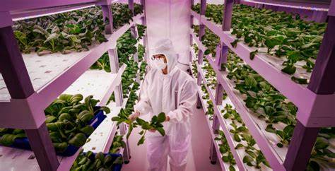 Vertical Farming Job Creation