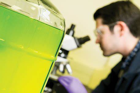 From Lab to Market: A Thought Leader's Journey in Biofuel Entrepreneurship