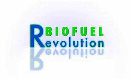The Biofuel Revolution: Lessons from Trailblazing Leaders