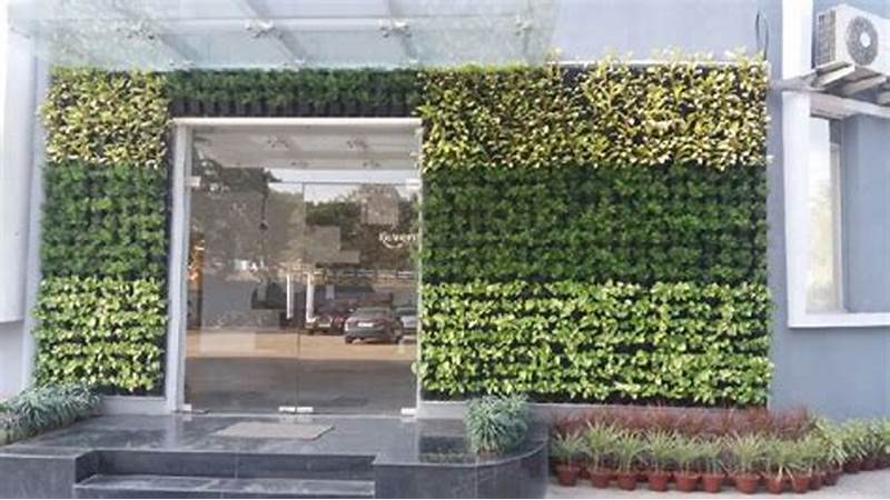 How Vertical Gardens Contribute to Biodiversity Conservation