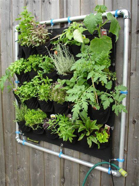 Vertical Gardens and Water Conservation
