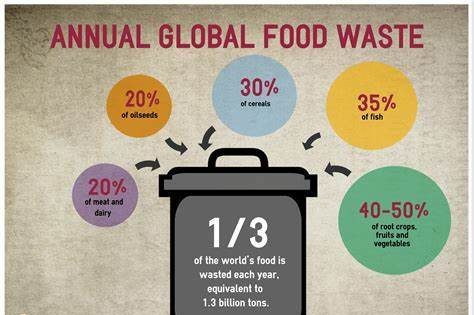 Vertical Farming: Navigating the Challenges of Food Waste