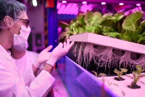 Vertical Farming and the Future of Food Education