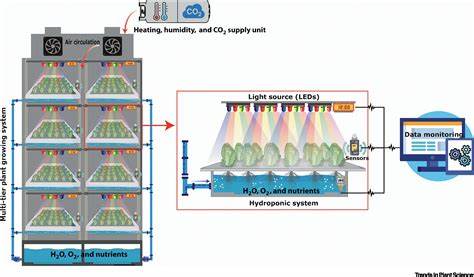 The Role of Vertical Farming in Ecosystem Restoration