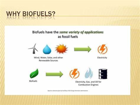 Leadership Lessons from the Biofuel Industry