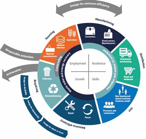 The circular economy in developing countries: opportunities and challenges