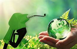 The Biofuel Revolution: Lessons from Trailblazing Leaders
