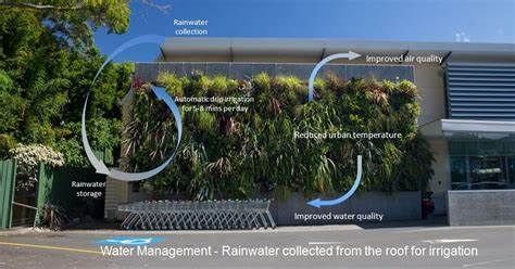 Vertical Gardens and Water Management in Urban Areas