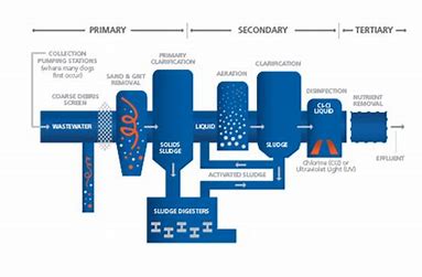 Steps in a Typical Wastewater Treatment Process