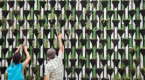 The Economic Viability of Vertical Garden Businesses