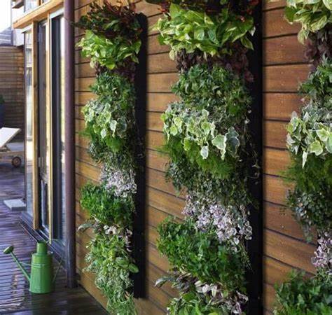 The Poetry of Vertical Gardens: Expressing Nature in Urban Spaces