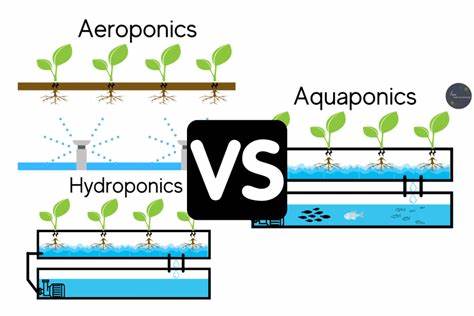 Hydroponics vs. Aeroponics vs. Aquaponics