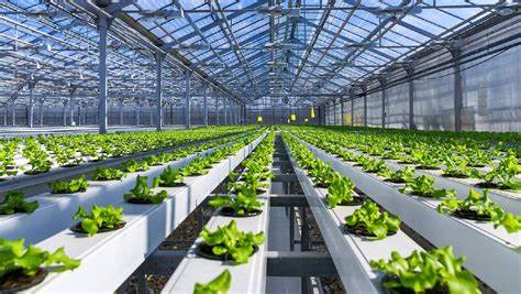 Vertical Farming and Sustainable Packaging