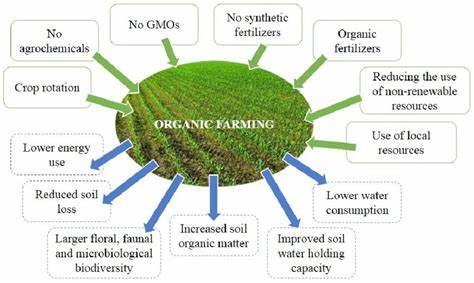 The Role of Organic Farming in Biofuels