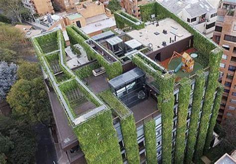 Vertical Gardens: Transforming Desolate Spaces into Green Oases