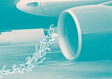Case Studies of Biofuel-Powered Flights