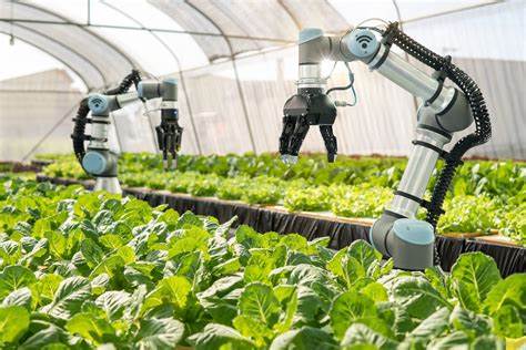 Vertical Farming: Fostering Innovation in Food Production