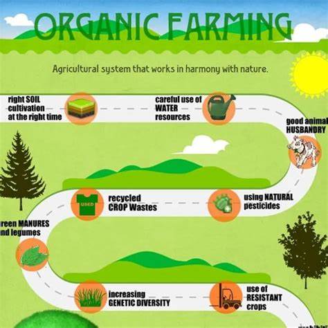 The Role of Organic Farming in Biofuels