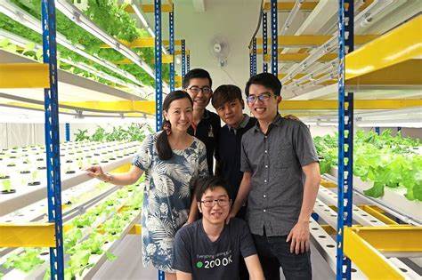 Vertical Farming: A Sustainable Answer to Population Growth