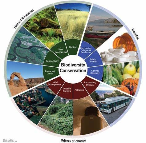 Biofuels' Contribution to Biodiversity Conservation