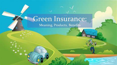 Eco Vehicle Insurance Options