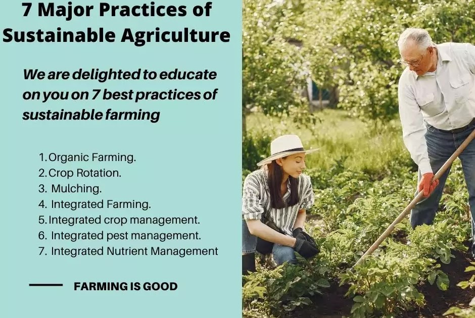 Sustainable Agriculture: A Thought Leader's Guide