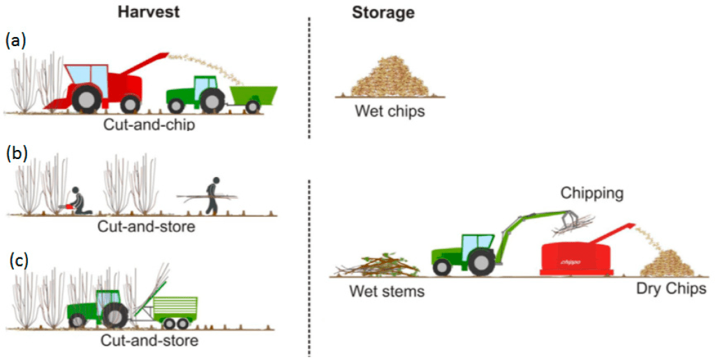 Crop Rotation and Biofuel Production