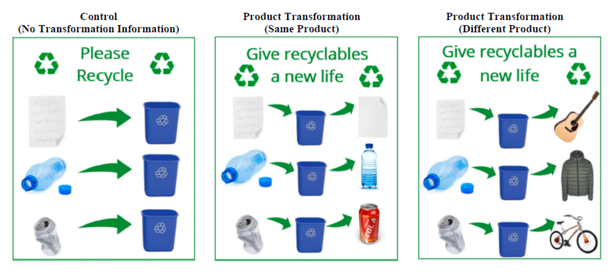 The impact of consumer education campaigns on recycling rates