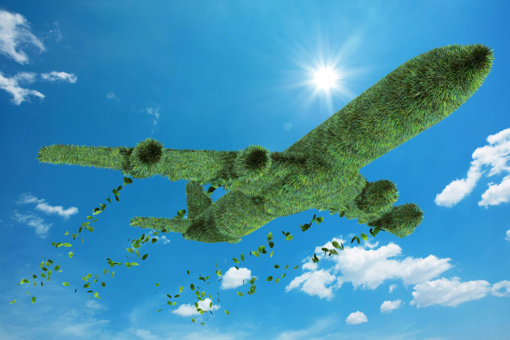 Sustainable Aviation: A Biofuel-Driven Transformation