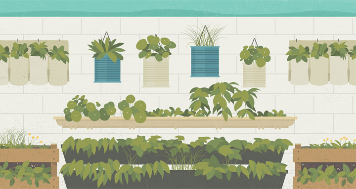 Teaching Sustainability through Vertical Gardening