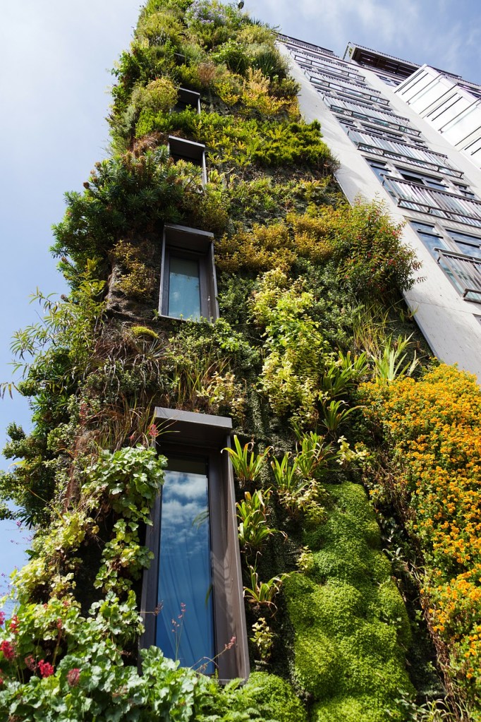 The Poetry of Vertical Gardens: Expressing Nature in Urban Spaces