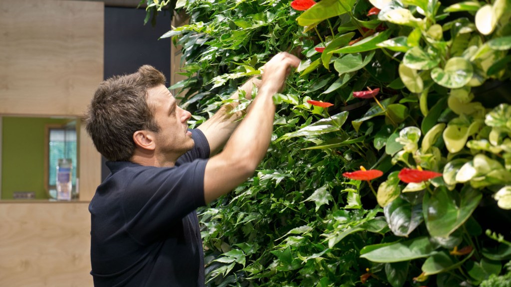 The Art of Vertical Garden Maintenance: Craftsmanship and Care