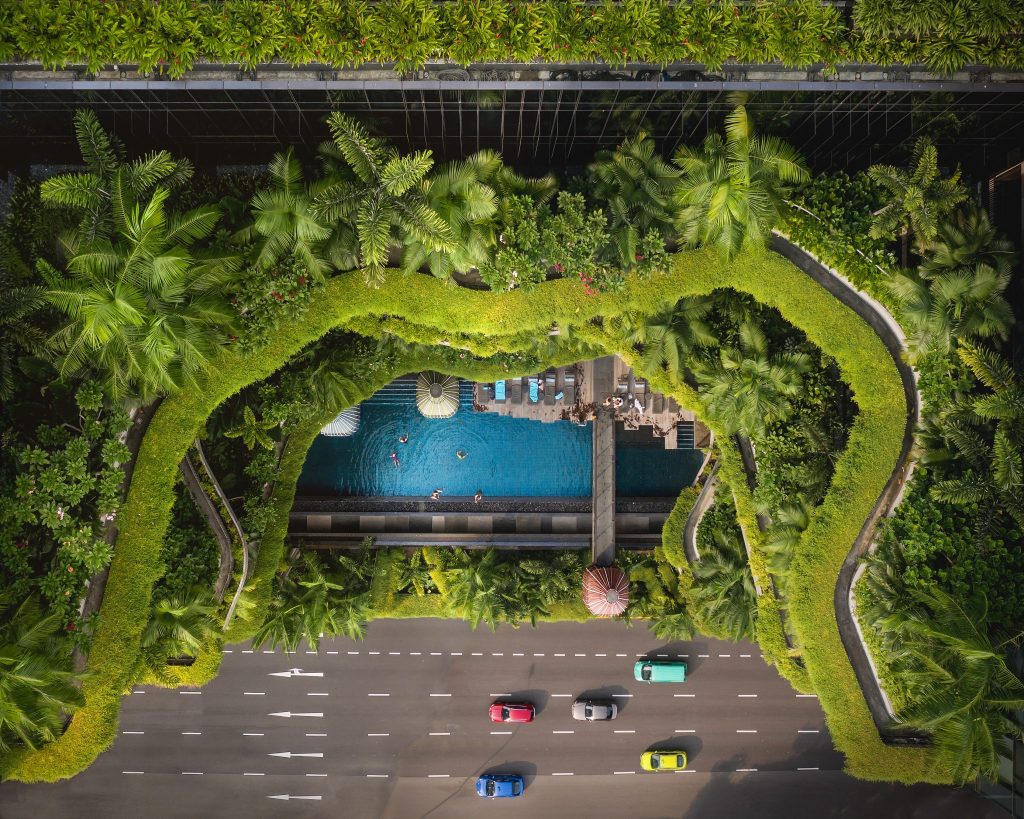 Vertical Gardens and Sustainable Tourism Destinations