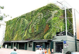 Vertical Gardens and their Role in Sustainable Design