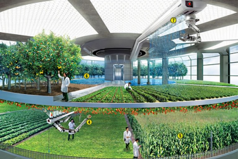 The Future of Vertical Farming