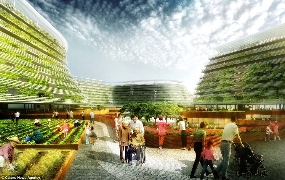 Vertical Farming: A Case Study in Sustainable Urban Development