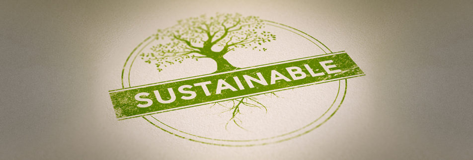 Corporate leadership in advancing sustainable waste practices
