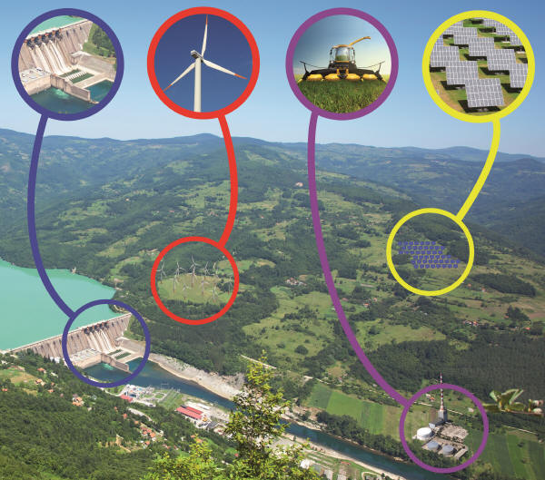 Shaping the Energy Landscape: Insights from Biofuel Innovators