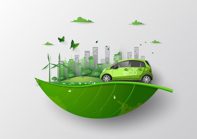 Wildlife and Eco Vehicle Interactions