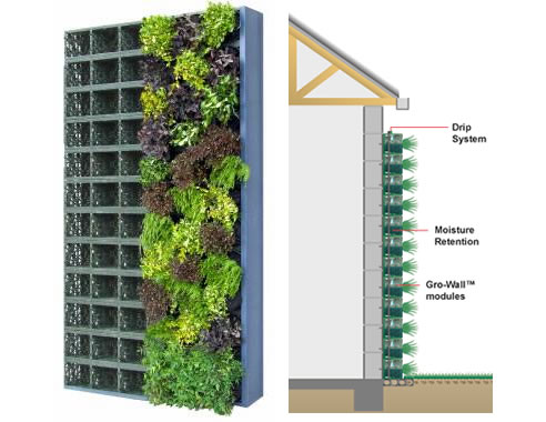 The Evolution of Vertical Garden Technology