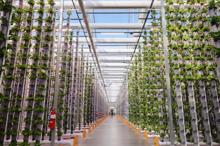 Water and Energy Efficiency in Vertical Farms